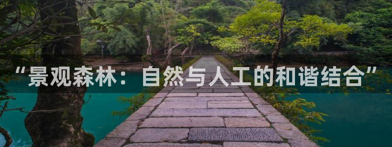 摩根娱乐代理