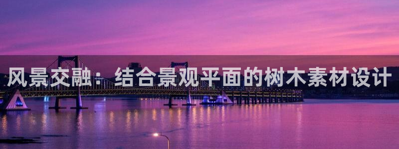 华视娱乐 摩根 王琛