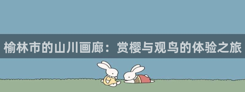 泉州摩根娱乐