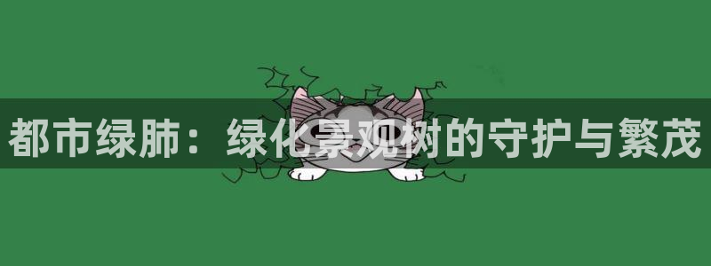临平摩根娱乐会所
