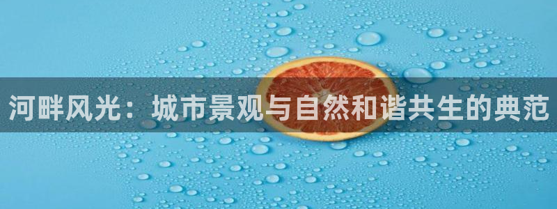 摩根大通会员买金沙娱乐