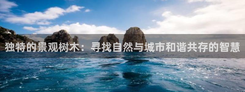 白宫摩根娱乐地址