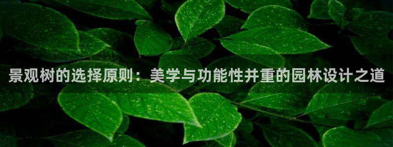 长春拉图摩根附近娱乐