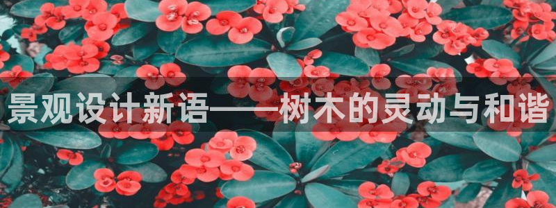 摩根娱乐宝是什么游戏