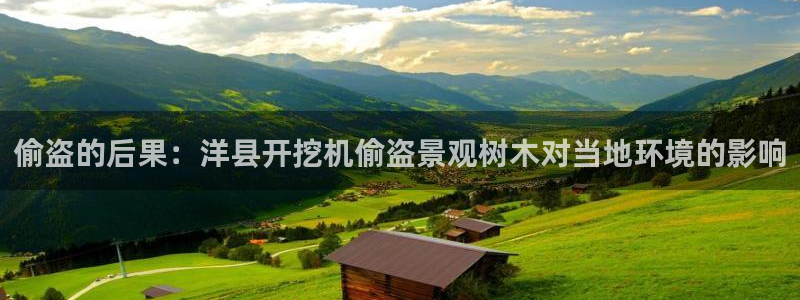 摩根娱乐50186找