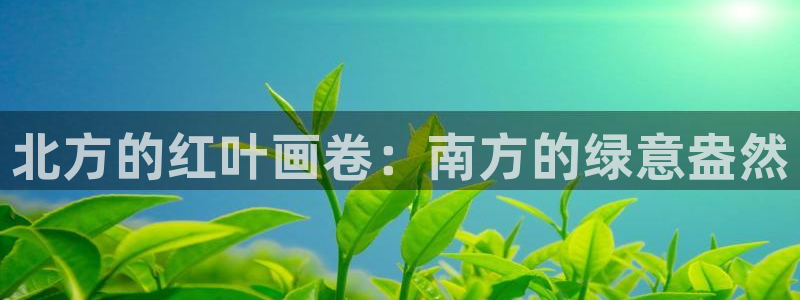 摩根空间附近休闲娱乐