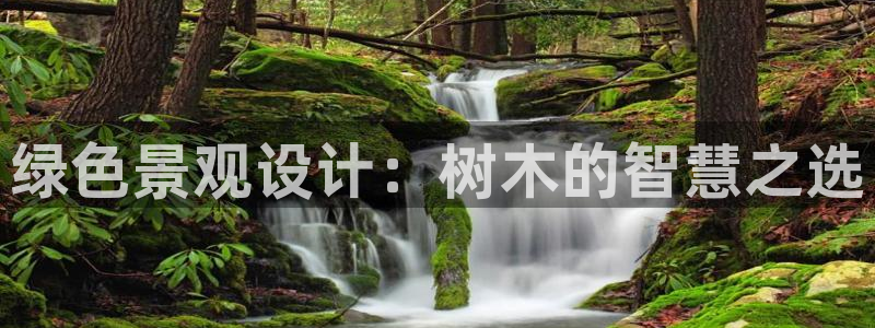 摩根娱乐会所电话