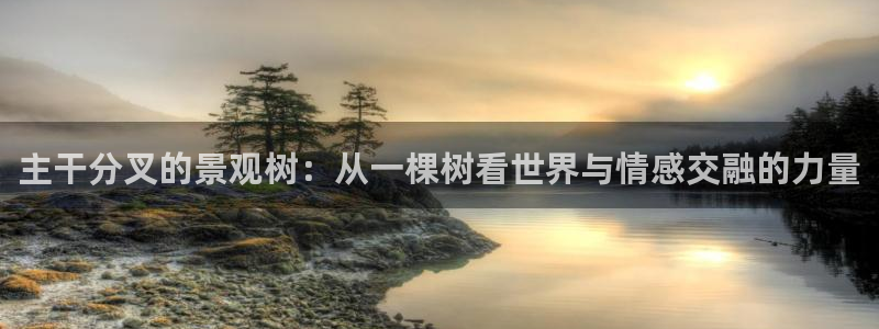 泉州摩根会娱乐有限责任公司管理