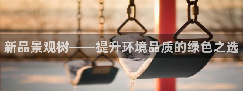 泉州摩根会娱乐有限责任公司管理