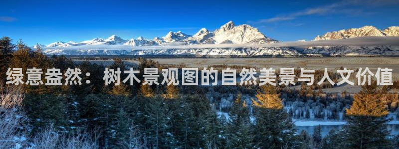 摩根国际娱乐会所电话