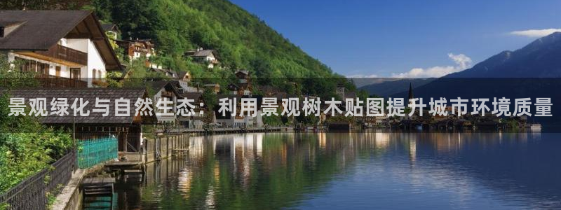 摩根大通会员买金沙娱乐