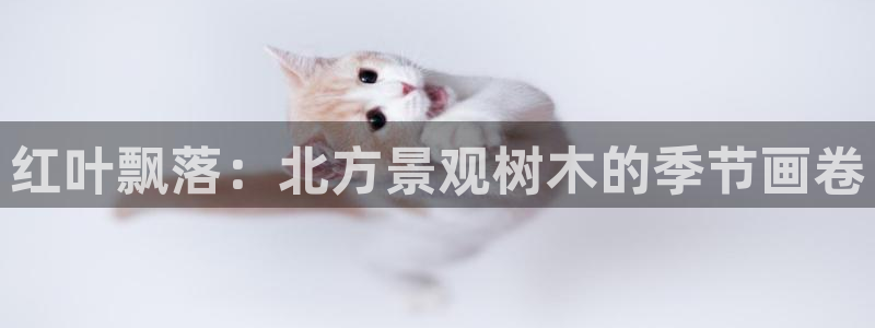 摩根娱乐宝秒单