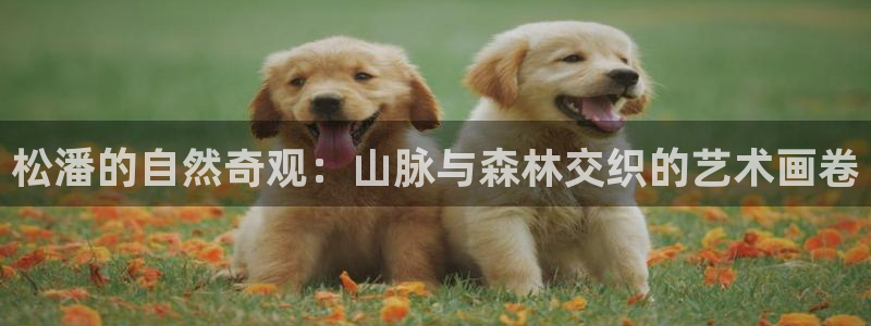 摩根室内娱乐