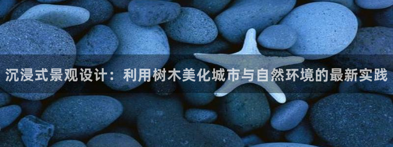 义乌摩根娱乐会所价格