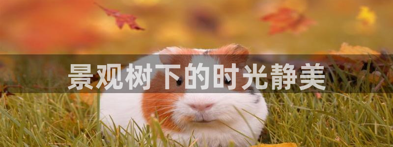 临平摩根娱乐会所地址