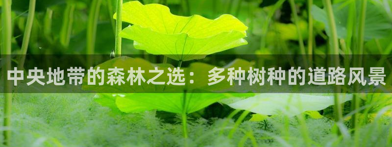 摩根娱乐宝官网下载