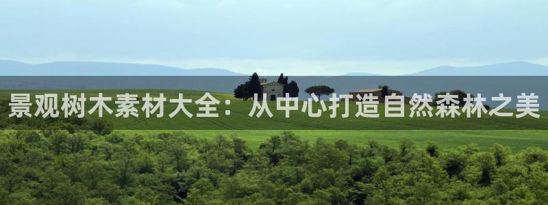 摩根娱乐怎么样