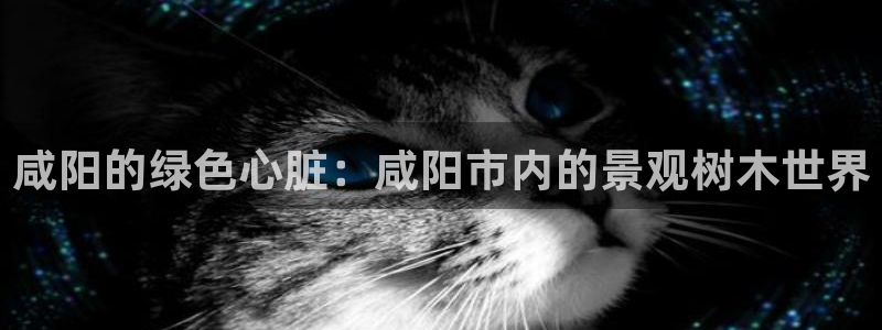 摩根娱乐挂机项目有哪些