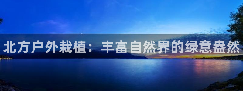 摩根娱乐宝怎么赚钱