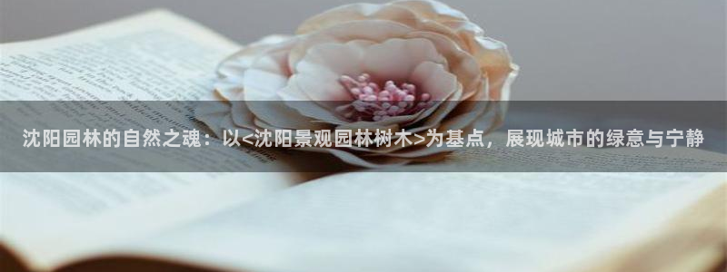 摩根娱乐宝平台下载