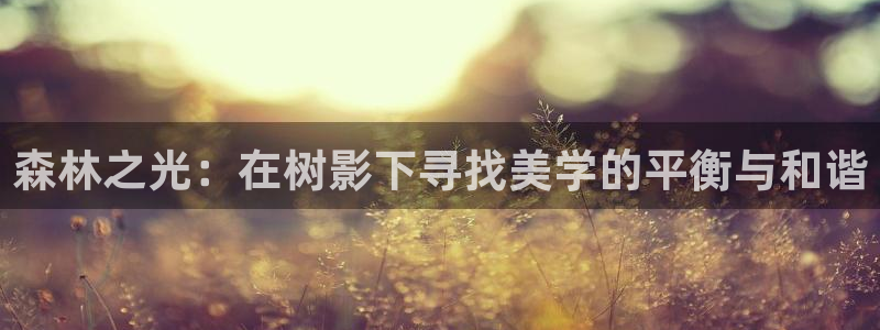 摩根国际娱乐宝进不去