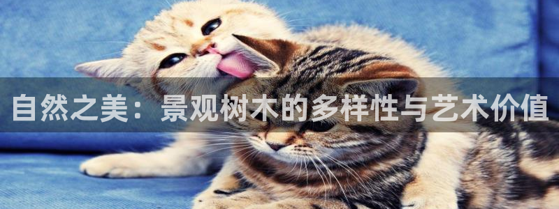 义乌摩根国际娱乐会所