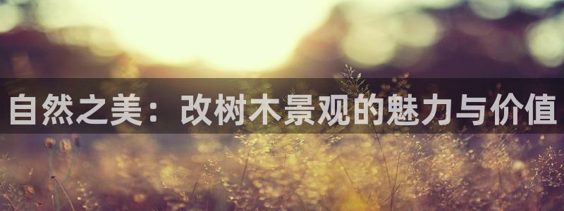 摩根娱乐宝是骗人的的吗