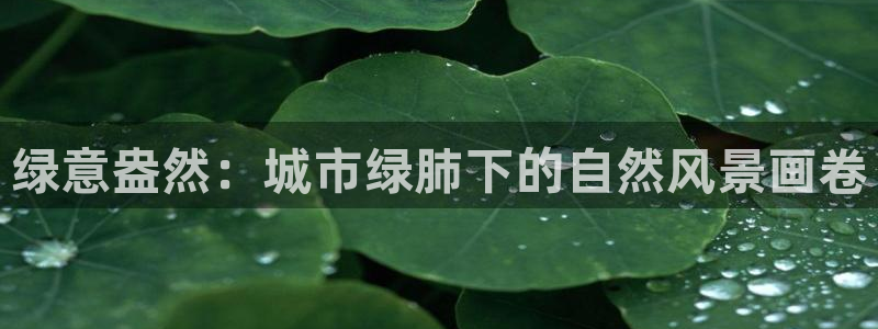 摩根娱乐宝微信客服