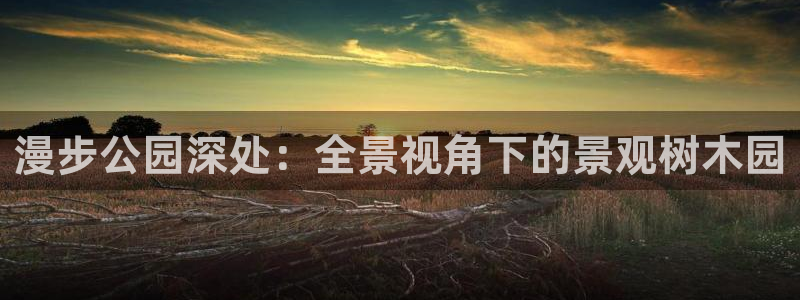 摩根娱乐会所门头