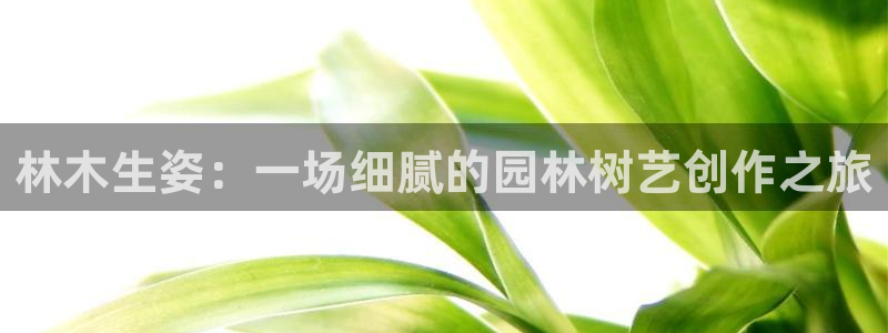 下载摩根娱乐宝