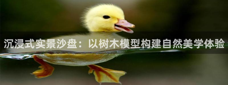 摩根国际 亚太 娱乐宝