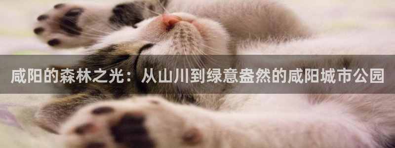 摩根娱乐是骗局吗?