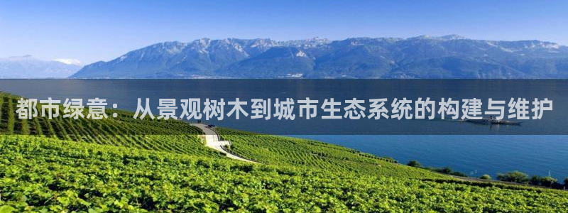 义乌摩根娱乐消费多少