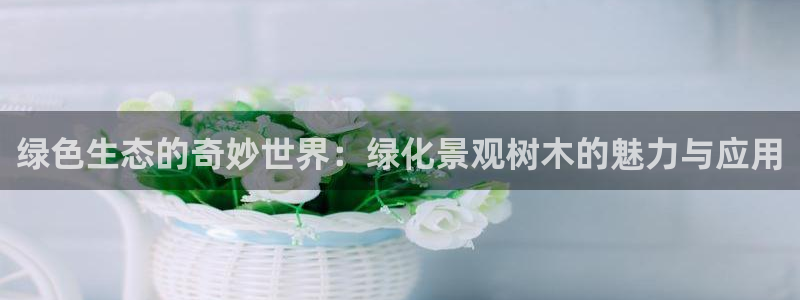 摩根娱乐宝可靠吗