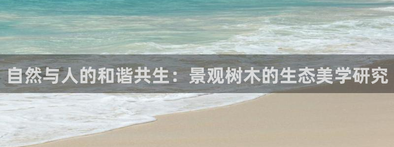 华视娱乐摩根王琛