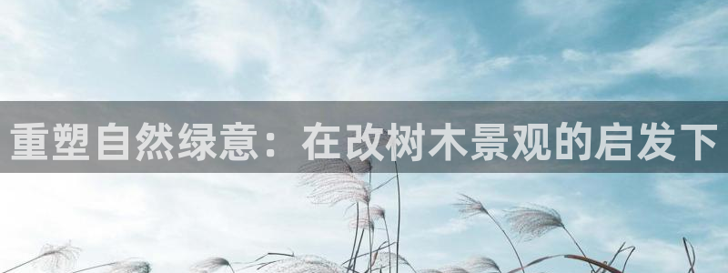 摩根娱乐宝使用操作