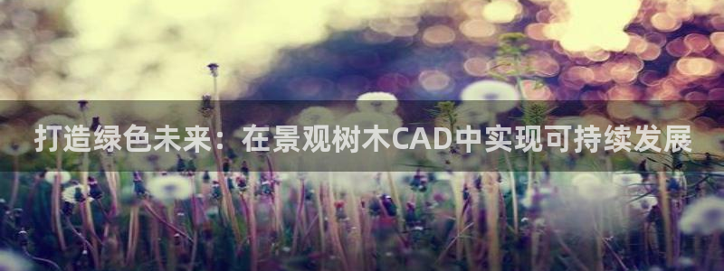 摩根说娱乐