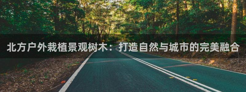 泉州摩根会娱乐张桂花