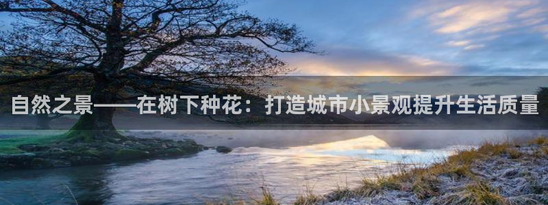 摩根国际娱乐宝书籍