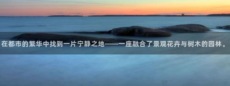 摩根娱乐挂机项目