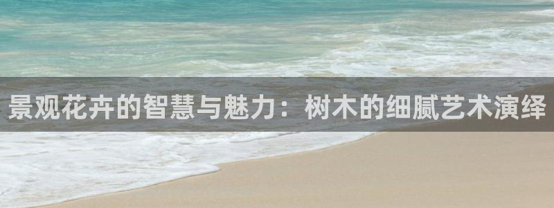 摩根娱乐开户总s管50015 15