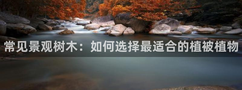 摩根娱乐 F招D商98732