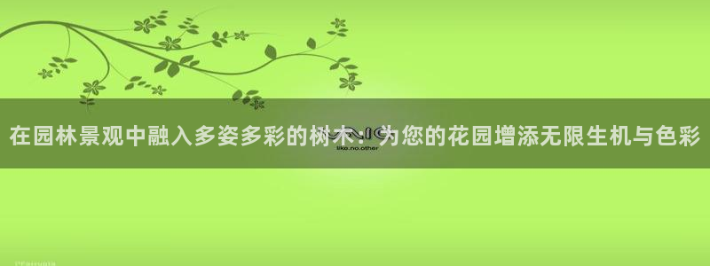 摩根娱乐宝是什么游戏