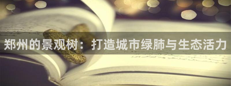 摩根娱乐50186联系