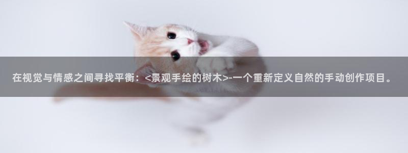 摩根娱乐宝微交易