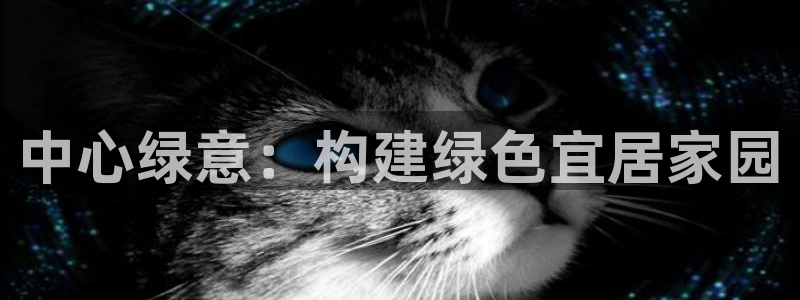 摩根娱乐官网下载