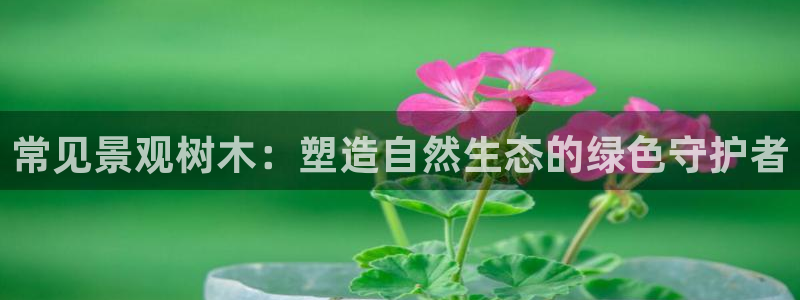 摩根娱乐帐7O777