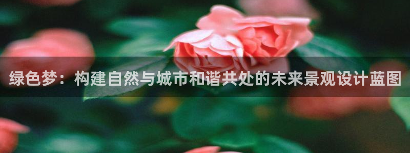 海贼王之娱乐摩根斯