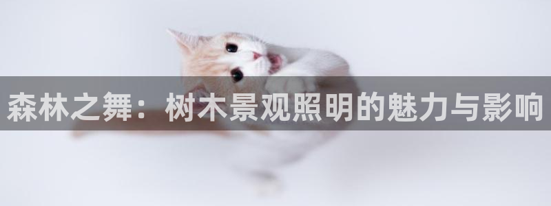 摩根娱乐彩票挂机