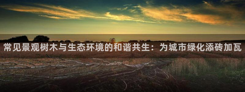 义乌摩根娱乐会所怎么样